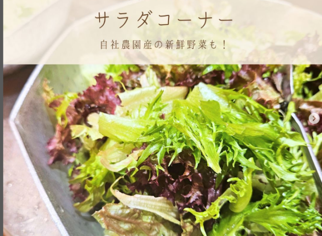 プラザの朝食バイキング～サラダコーナー～