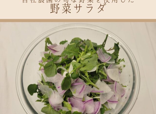 【朝食バイキングに自社農園産の野菜を使用したサラダが登場】