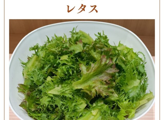 【朝食バイキング～レタス～】