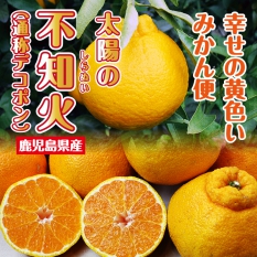 鹿児島県産不知火（しらぬひ）【通称デコポン】【５ｋｇ】【１０ｋｇ】【１５ｋｇ】【送料込】