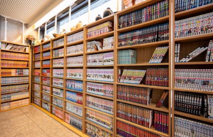 Manga library