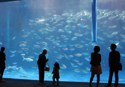 鹿兒島水族館